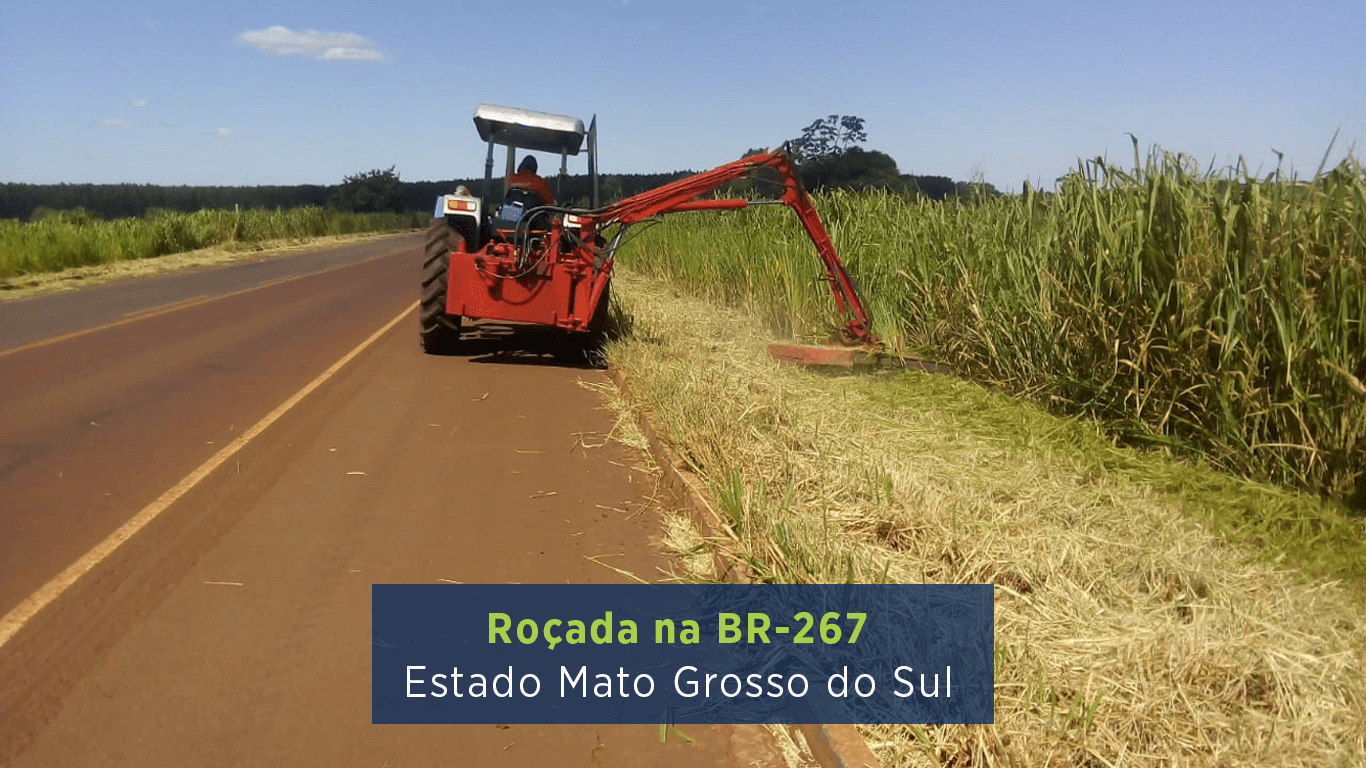 Roçada na BR-267 - Estado do Mato Grosso do Sul